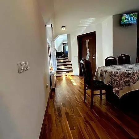 Casa Andreuta Apartment Holbav