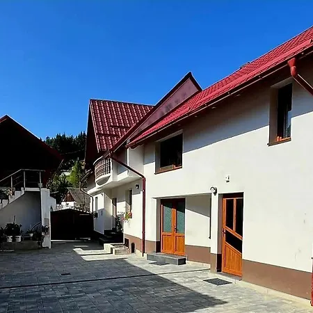 Casa Andreuta Apartment Holbav