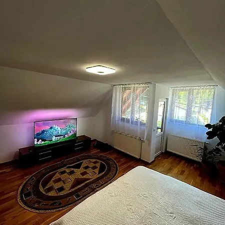 Apartment Casa Andreuta Holbav